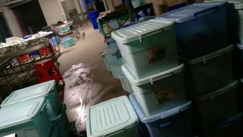 一站式業務轉讓 廚師配套、消毒餐具設備及辦公用品全包